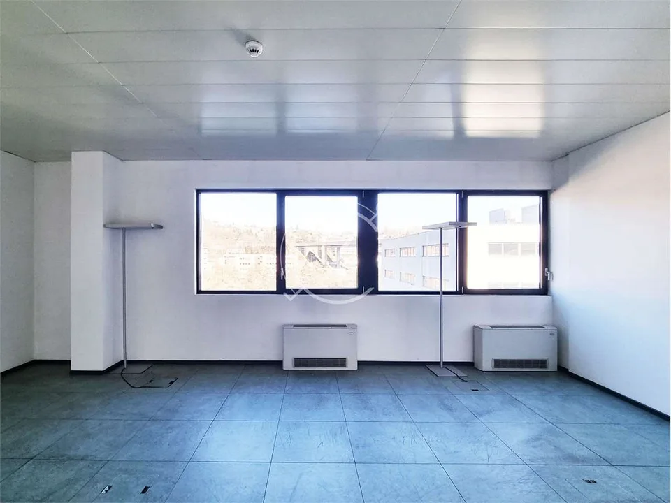 Wir vermieten ein großes Büro oder Geschäftslokal
