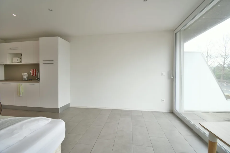 Appartement de 1.5 pièces
