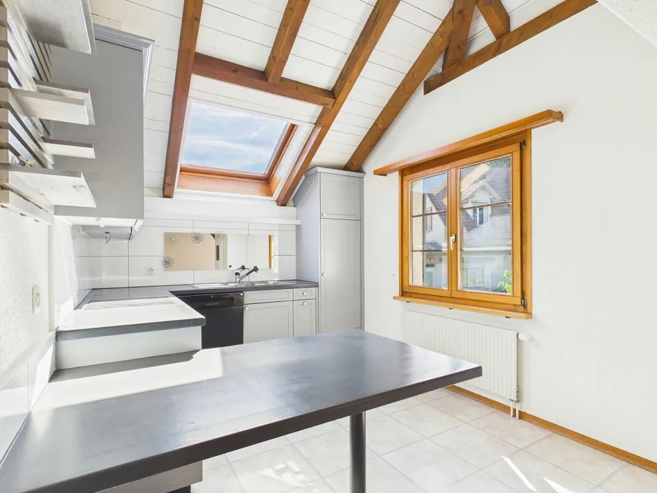 Duplex apartment with garden in the center of Windisch