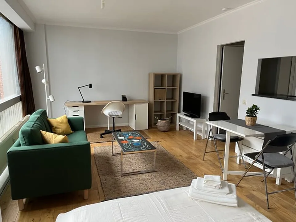 Charmant studio à louer avec cheminée à Lausanne