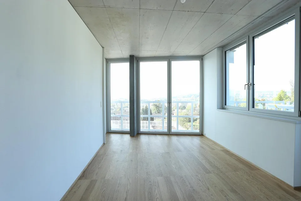 Appartement 4.5 pièces à Therwil