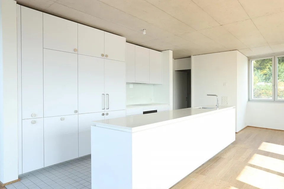 Appartement 4.5 pièces à Therwil