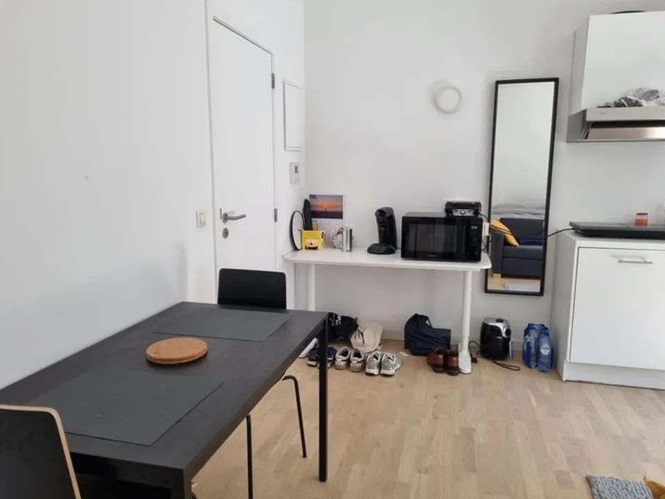 Kürzlich renoviertes 24 m² großes Einzimmerstudio in Bern