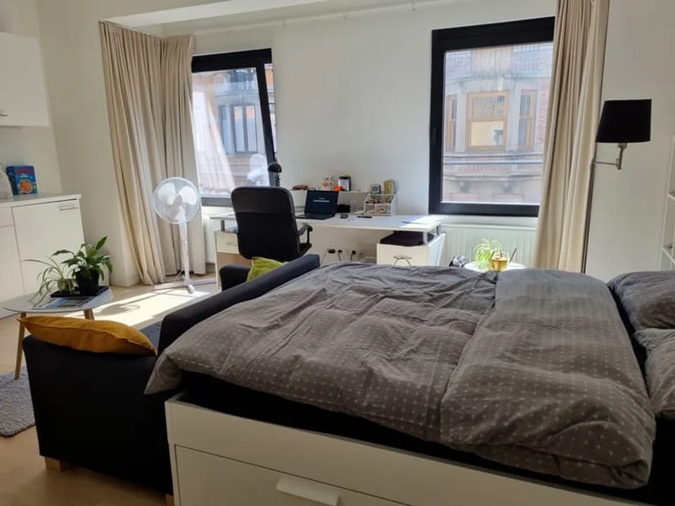 Studio une chambre de 24 m²récemment rénovée sur Berne