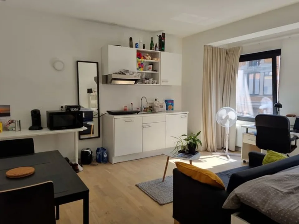 Kürzlich renoviertes 24 m² großes Einzimmerstudio in Bern