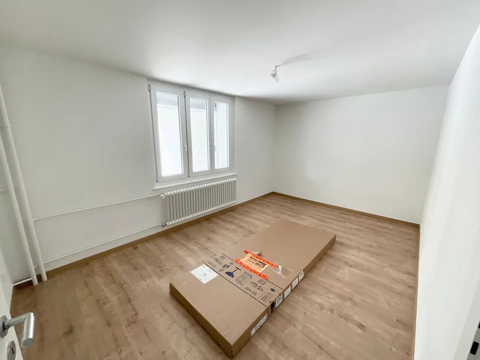 Appartamento ristrutturato di 3 locali con terrazza privata