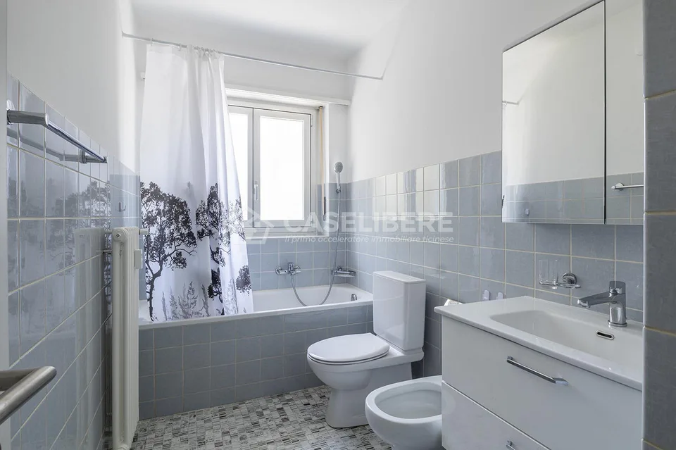SPACIOUS 2.5 ROOMS FURNISHED APARTMENT IN LOSONE