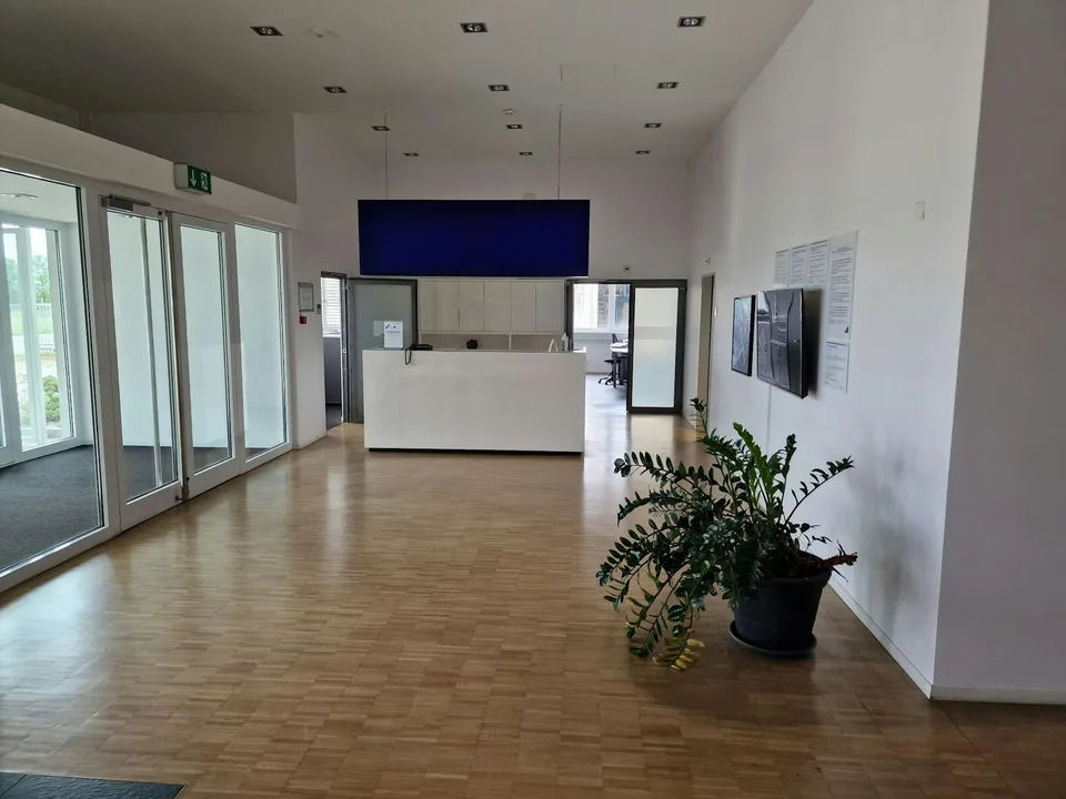 3'000 m2 grosse, 10m hohe, LKW befahrbare Industriehalle mit 8t-Kränen und hoher Bodenlast