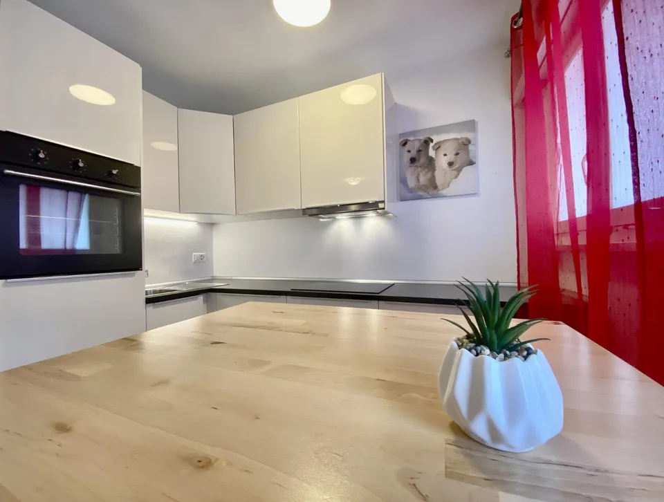 Appartement 1 pièce