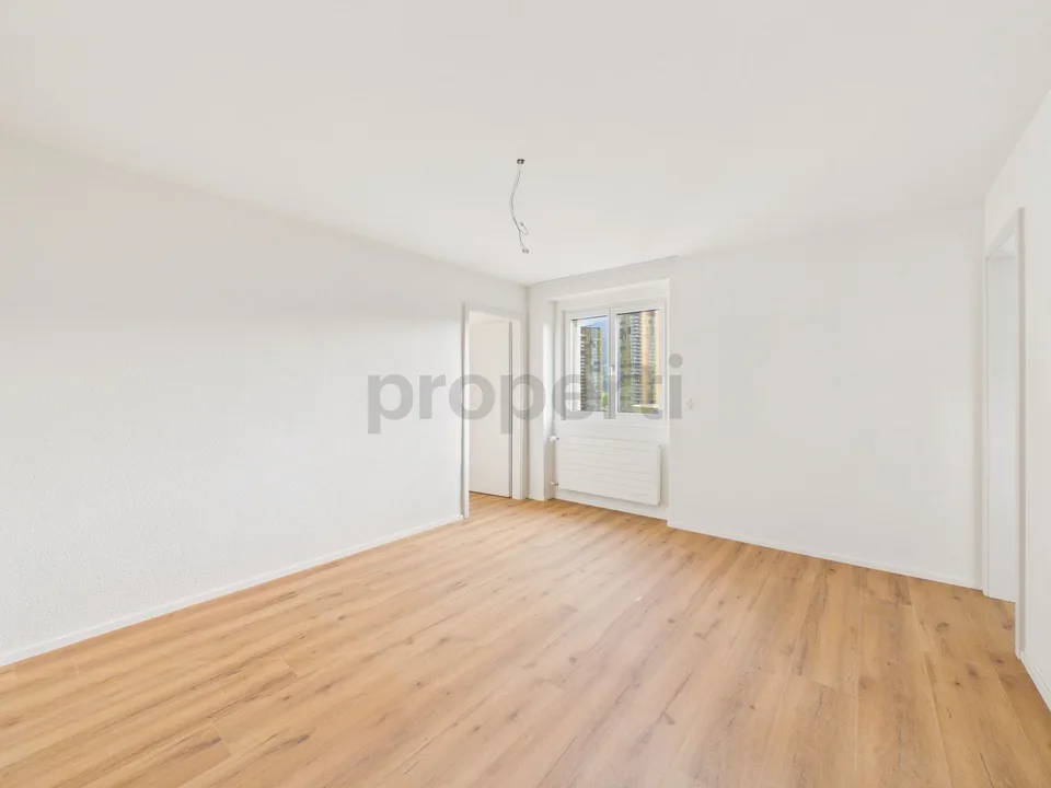 Appartamento 2.5 stanze recentemente ristrutturato con balcone, Lucerna