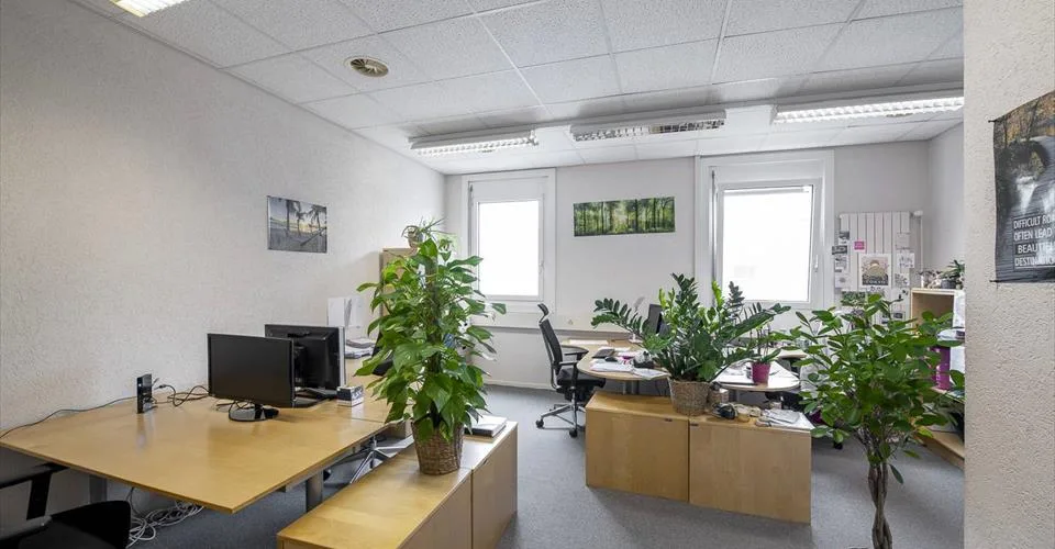 Bureau