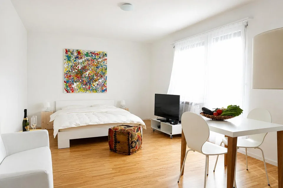 Appartement penthouse meublé 1 pièce avec balcon