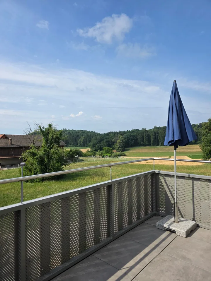 Moderne 4.5-Zimmer-Maisonettewohnung in Wil ZH
