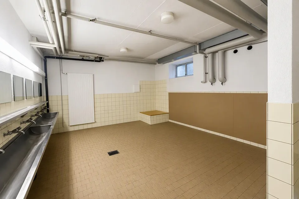 Espace de stockage ou de loisirs à Dietikon