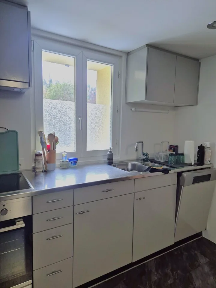 **TEMPORARY** Unique Ground Floor Apartment in Teufen