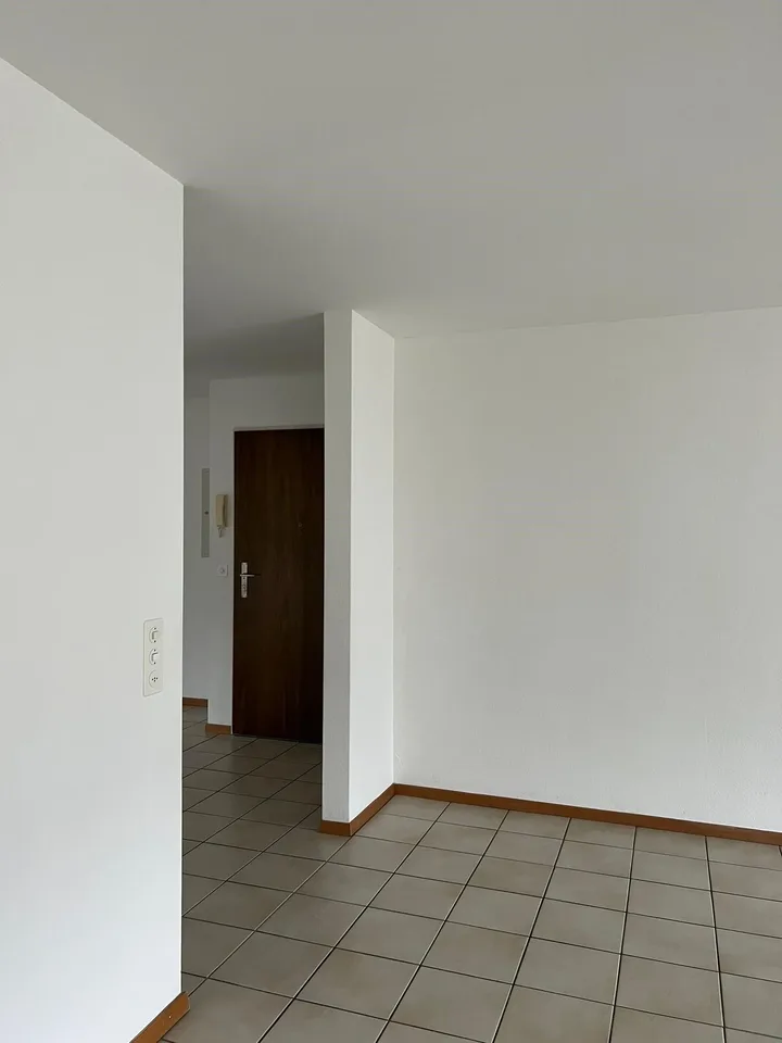 Schöne 3.5 Zimmer Wohnung mit Balkon und neuer Küche