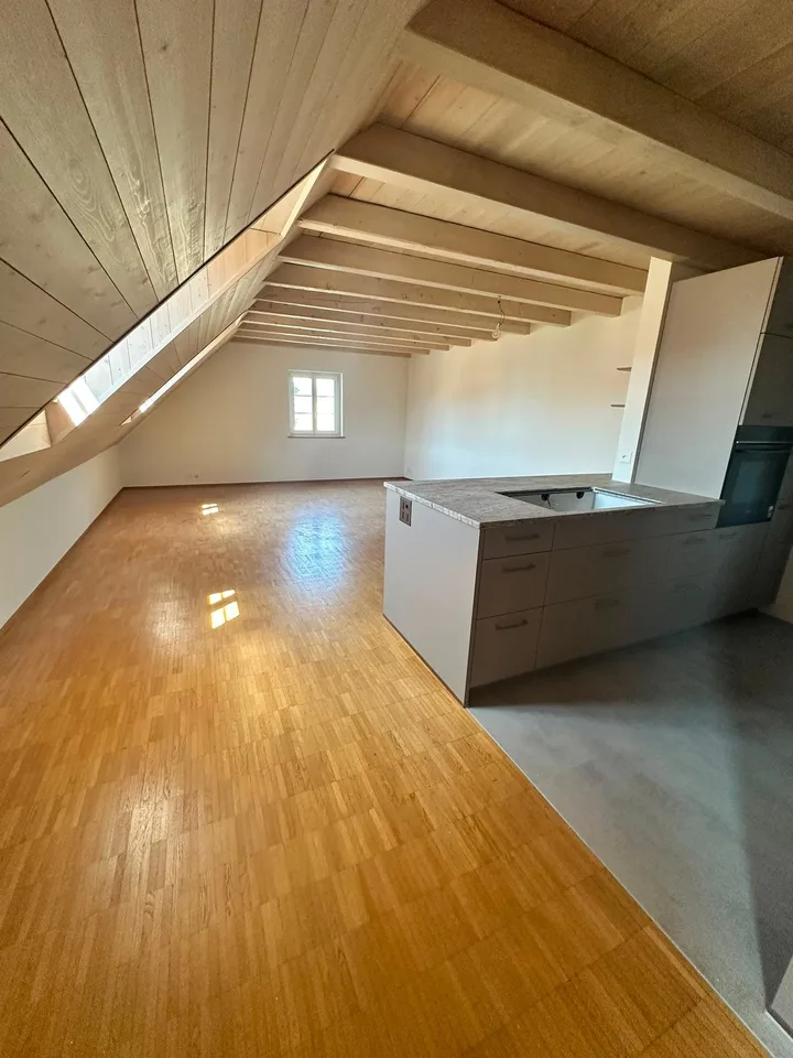 Appartamento mansardato ristrutturato di 3,5 locali - nuova cucina