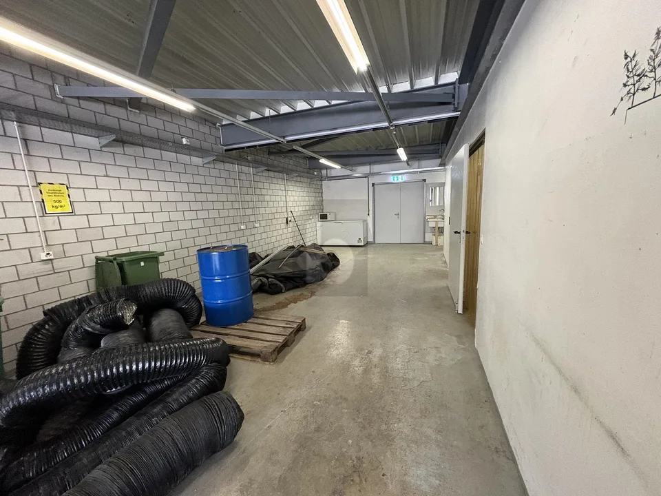 VIELSEITIG NUTZBARE FLÄCHE