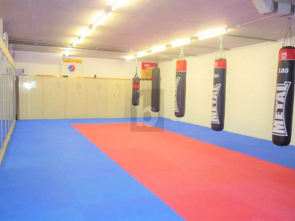 MULTIFUNCTIONAL GYM