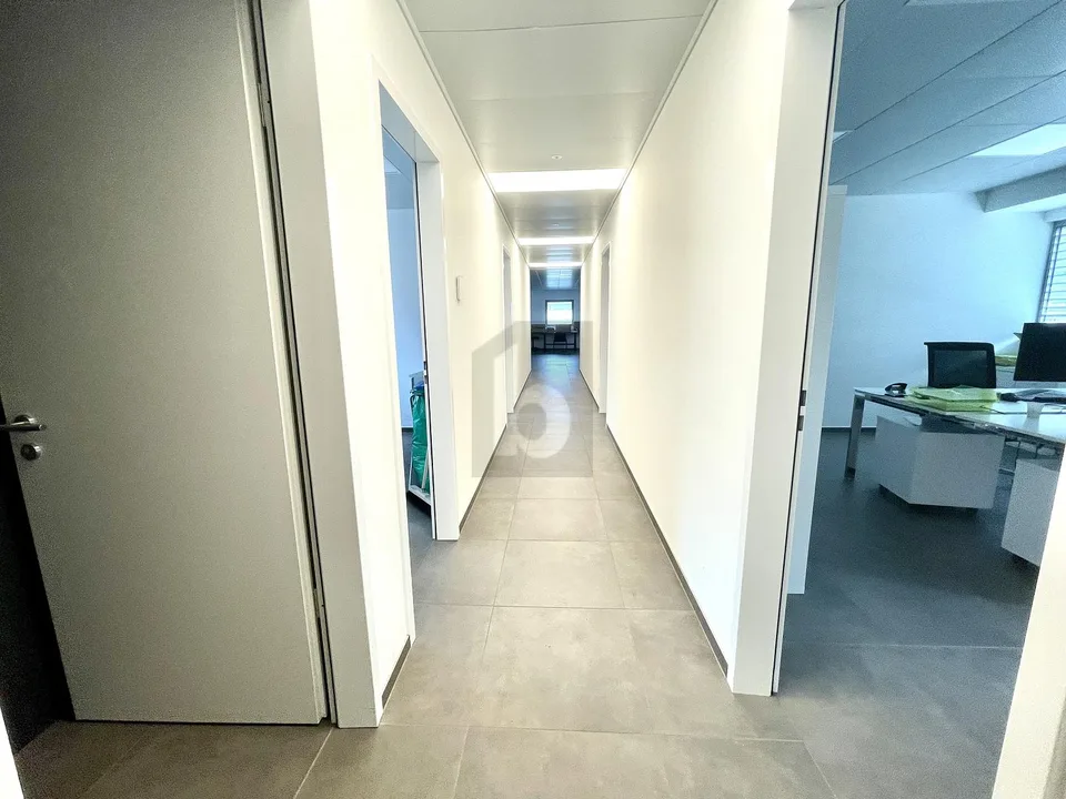 NEUES HANDWERKLICHES/GEWERBLICHES GEBÄUDE