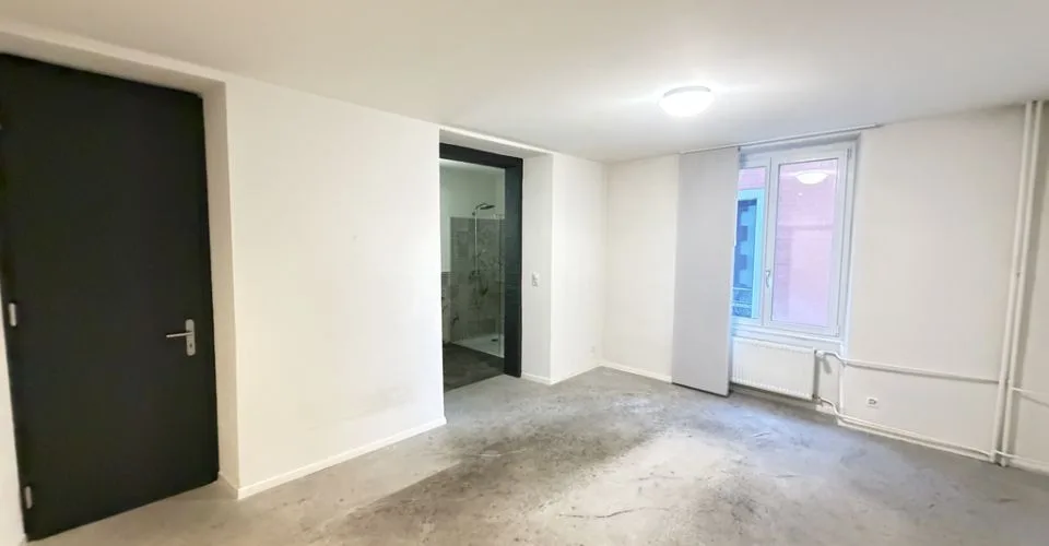 Appartement 1.5 pièces