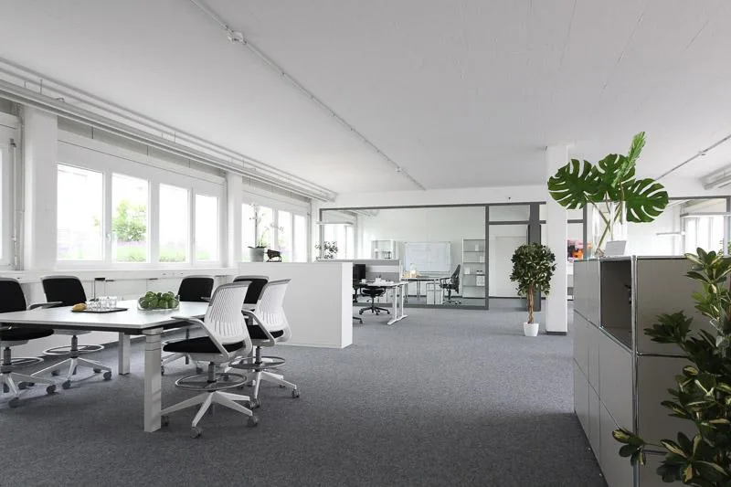 Gewerbe in Birsfelden