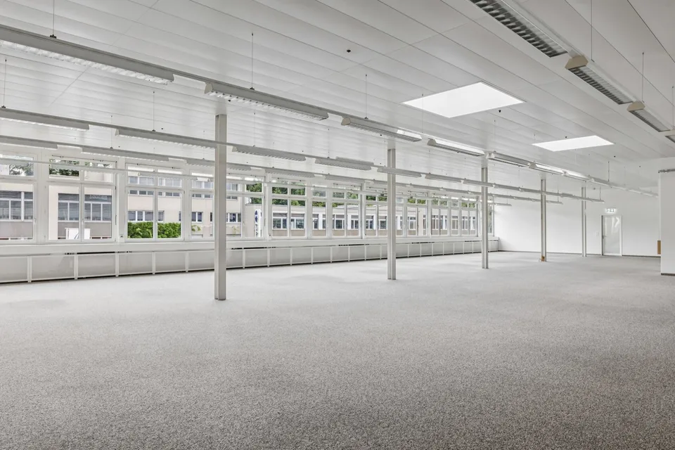 Bright, flexible commercial space in Muri