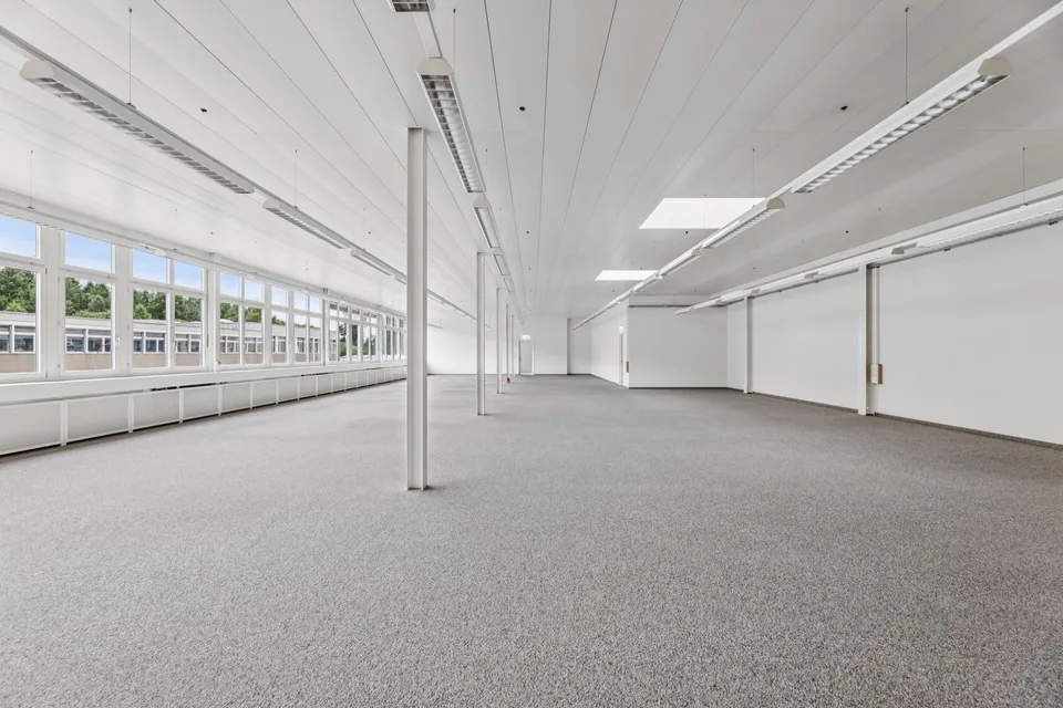Bright, flexible commercial space in Muri