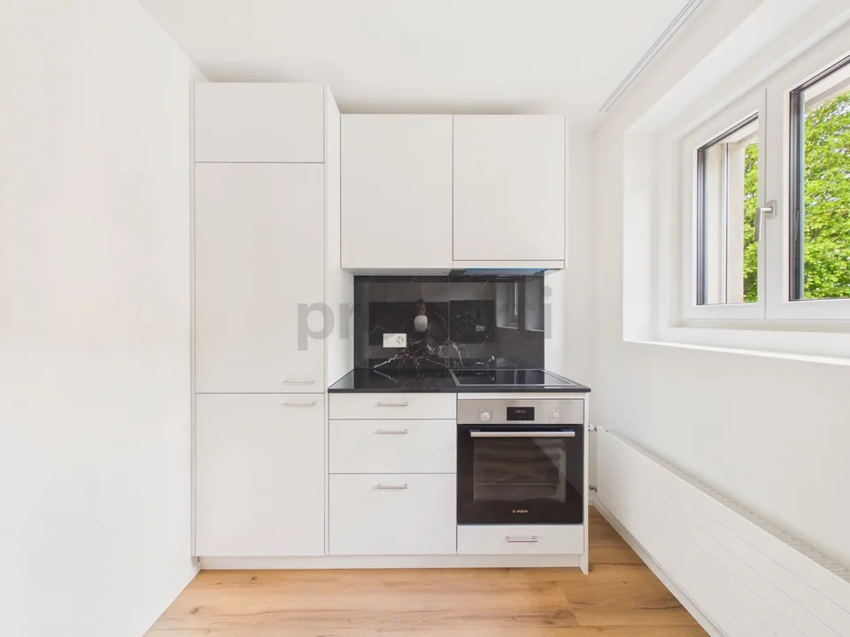 Hochwertig sanierte 3.5-Zimmer-Wohnung im Erstbezug