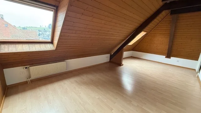 Grand appartement chaleureux dans un immeuble historique du village