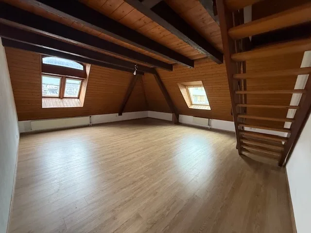 Grand appartement chaleureux dans un immeuble historique du village
