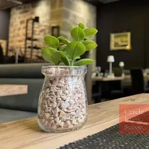 Raro in vendita: Ristorante chiavi in mano nel cuore di Ginevra