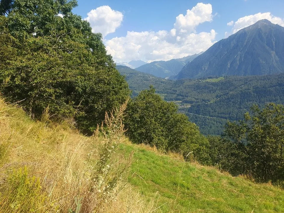 To seize! Beautiful plot in Ravoire | Martigny-Combe