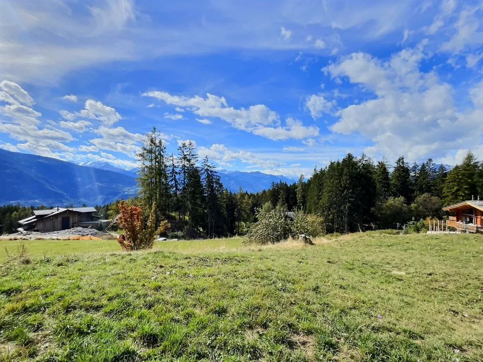 Oggetto raro a Crans-Montana - Grande lotto edificabile - Ambiente verdeggiante, vista montagne – foto 6 di 10