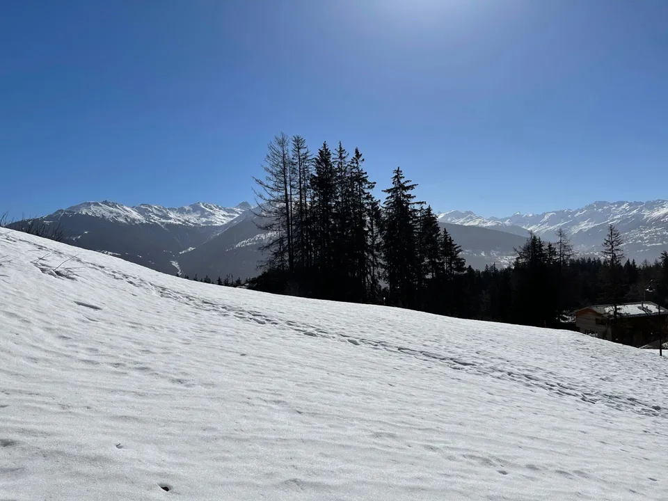 Oggetto raro a Crans-Montana - Grande lotto edificabile - Ambiente verdeggiante, vista montagne – foto 10 di 10