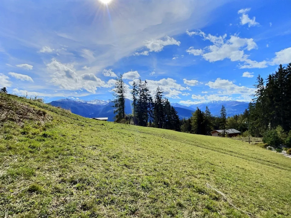 Objet rare à Crans-Montana - Grande parcelle à construire - Cadre Verdoyant, vue montagnes