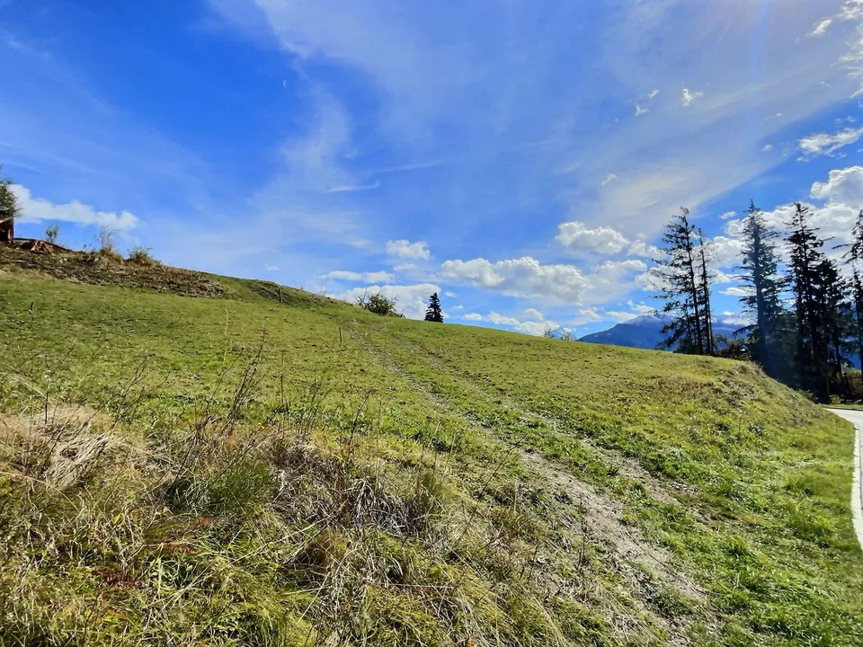 Oggetto raro a Crans-Montana - Grande lotto edificabile - Ambiente verdeggiante, vista montagne – foto 8 di 10
