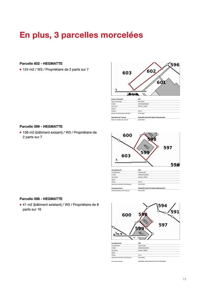 (3925) GRÄCHEN (VS) - 6 terrains constructibles à vendre – photo 10 sur 10