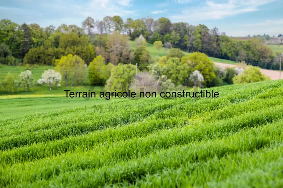 Terrain agricole non constructible avec cabane et vue panoramique sur Genève