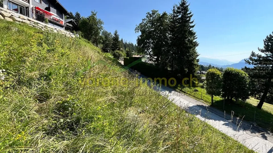 650 m² großes Grundstück