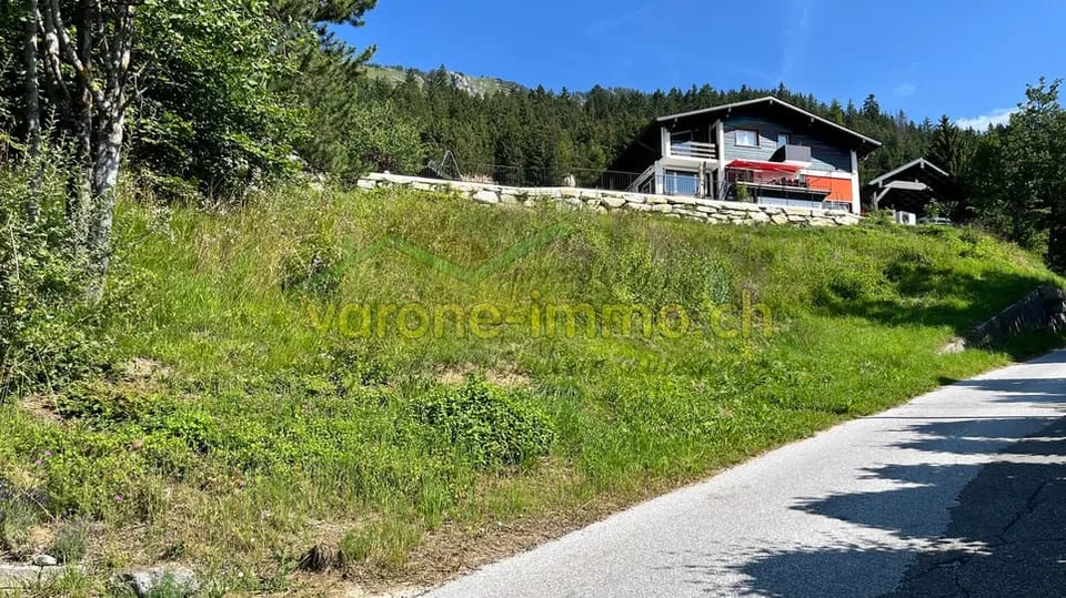 650 m² großes Grundstück
