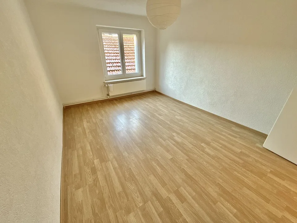 In vendita casa in affitto con 3 appartamenti e 15 box/depositi a Movelier – foto 12 di 13