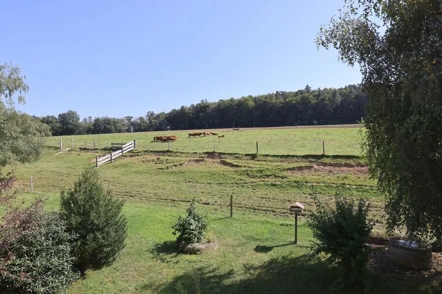 Sulle alture di Porrentruy, proprietà di 12 stanze in vendita – foto 12 di 13