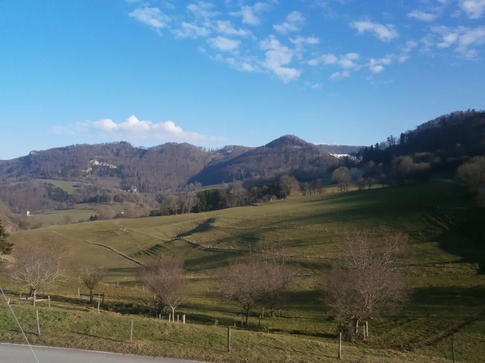 In vendita casa in affitto con 2 appartamenti e 1 locale commerciale ad Asuel – foto 8 di 10