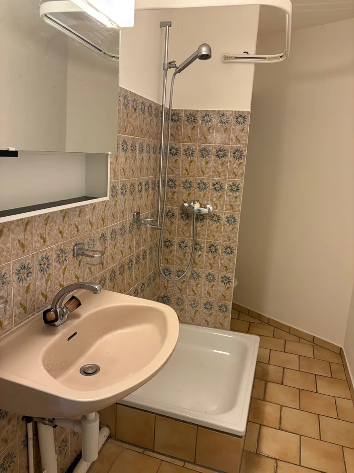 Edificio con 4 appartamenti e 1 spazio commerciale in vendita a Porrentruy – foto 9 di 13