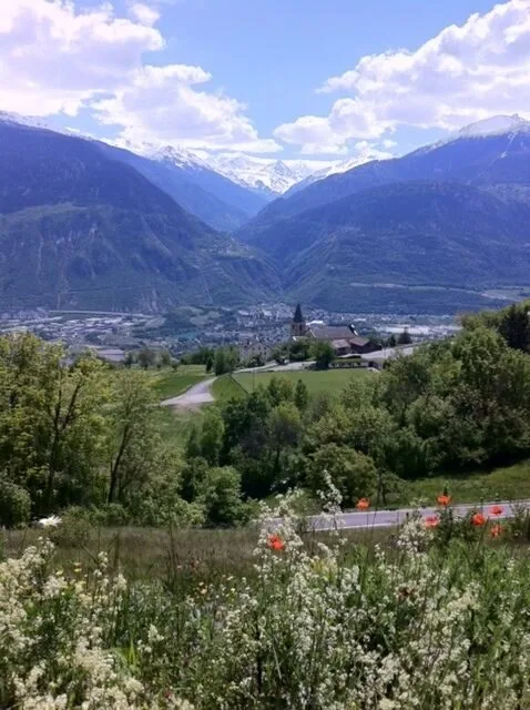 Grand terrain de 2 parcelles de 1'841 m² à vendre à Mollens