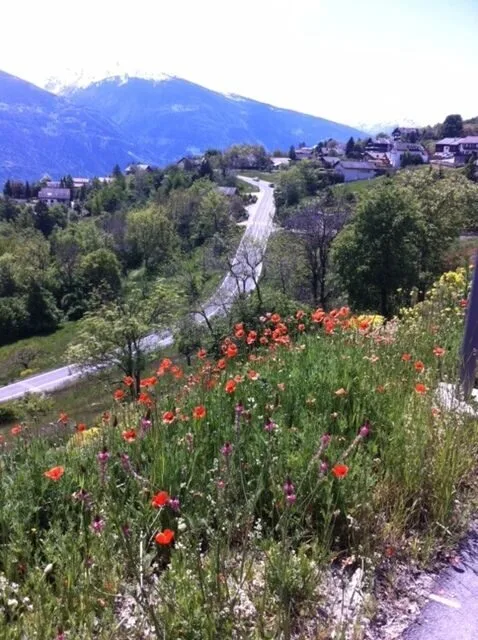 Grande terreno di 2 lotti di 1.841 m² in vendita a Mollens