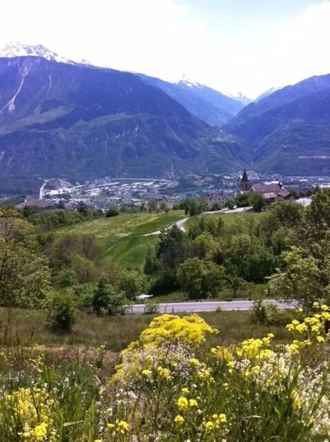 Grande terreno di 2 lotti di 1.841 m² in vendita a Mollens