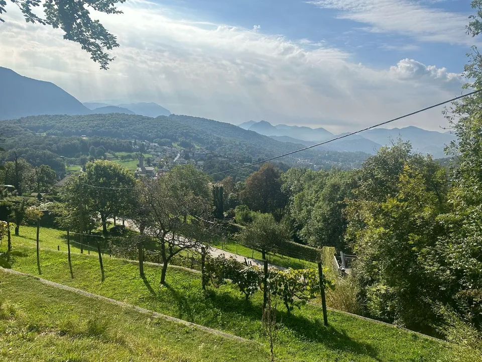 Sala Capriasca - Terreno edificabile