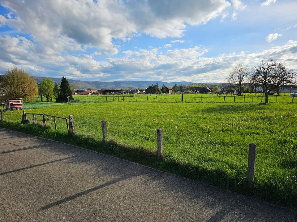 Magnifique terrain plat à vendre dans un endroit calme proche de la nature